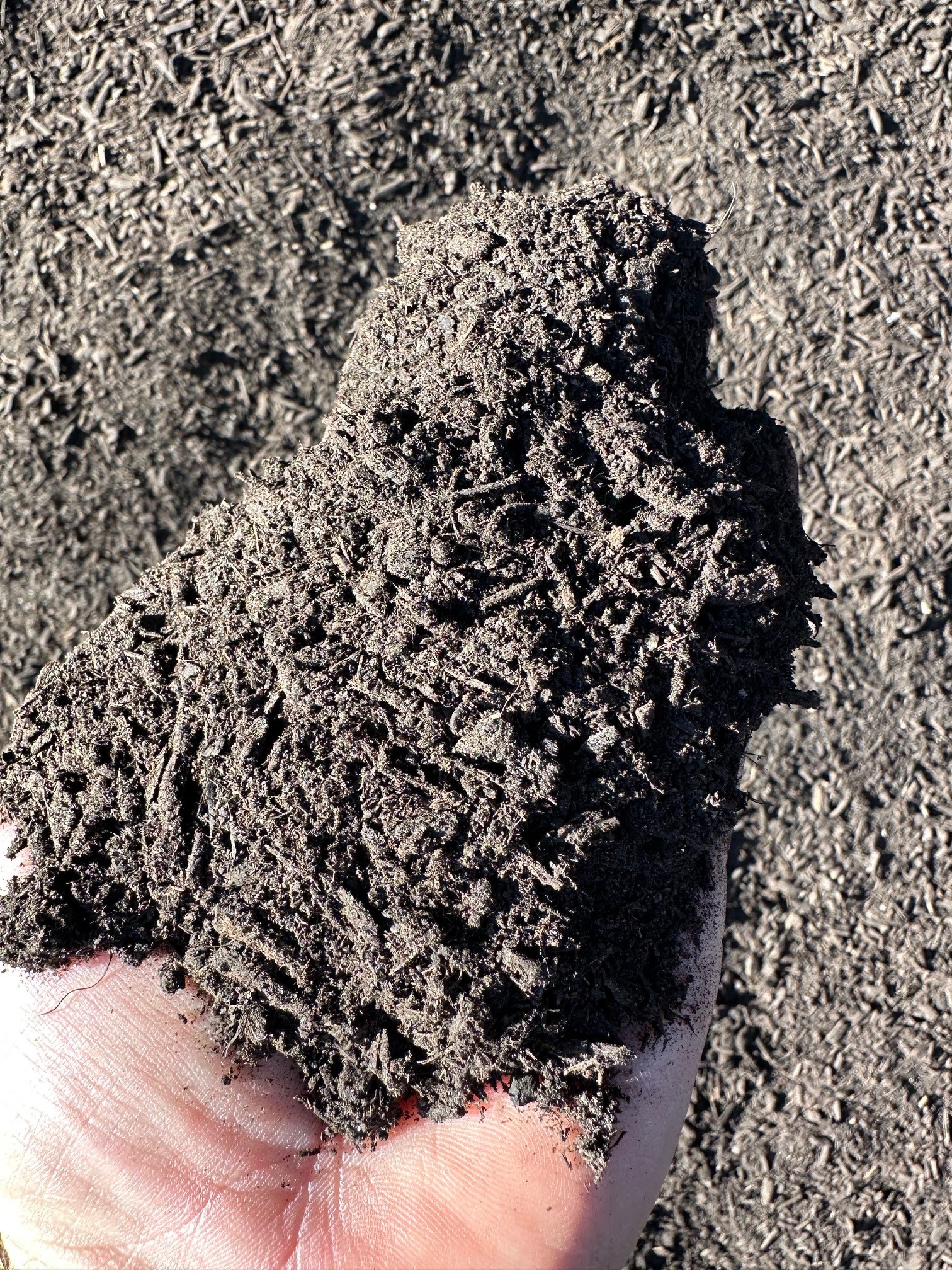 Why Greener World™ Compost is the Smart Choice for Topdressing Turf